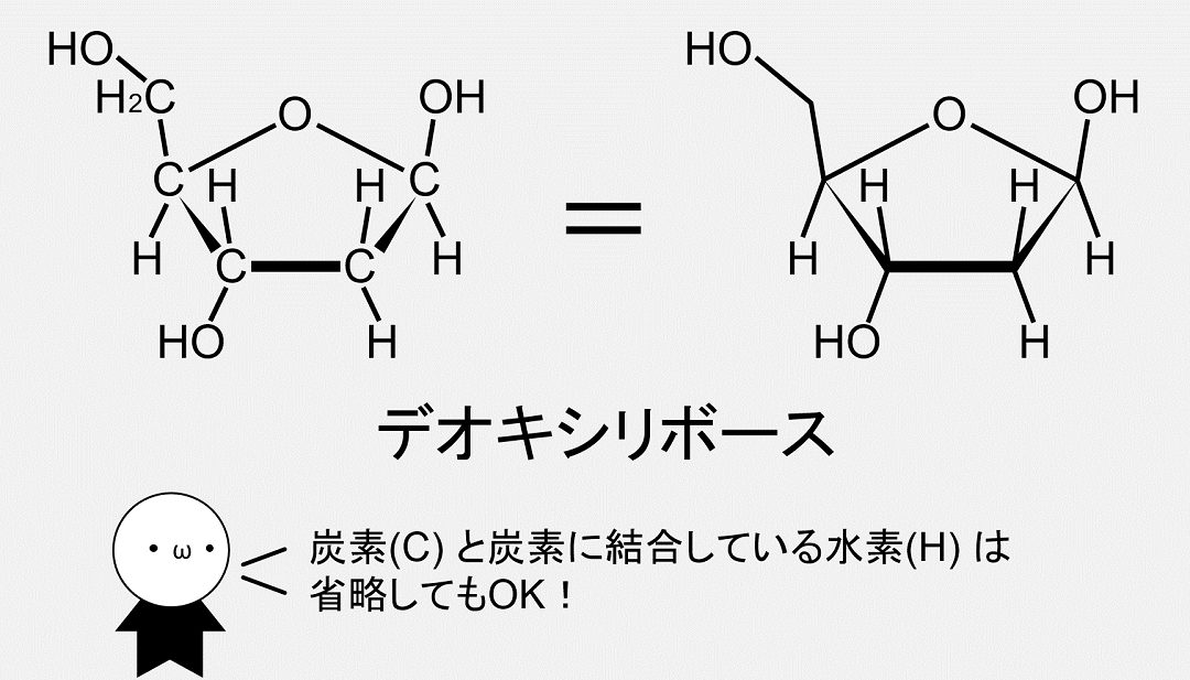 デオキシリボースの化学式です。